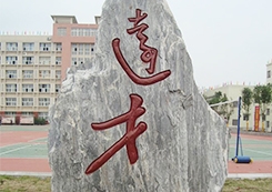 校园景观石雕